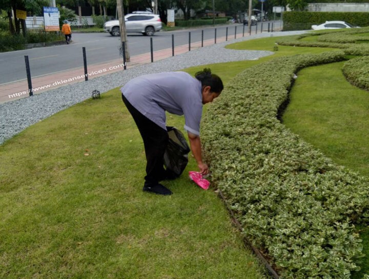 สนามหญ้า สัญญาบริการ