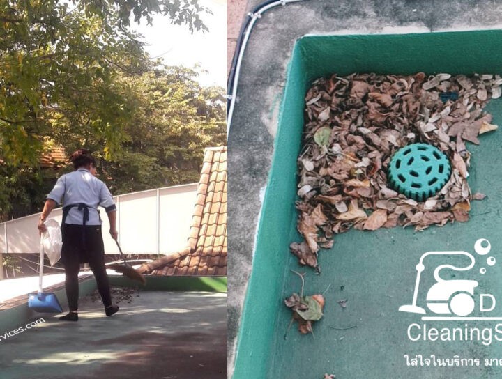 ใบไม้ในท่อระบายน้ำฝน