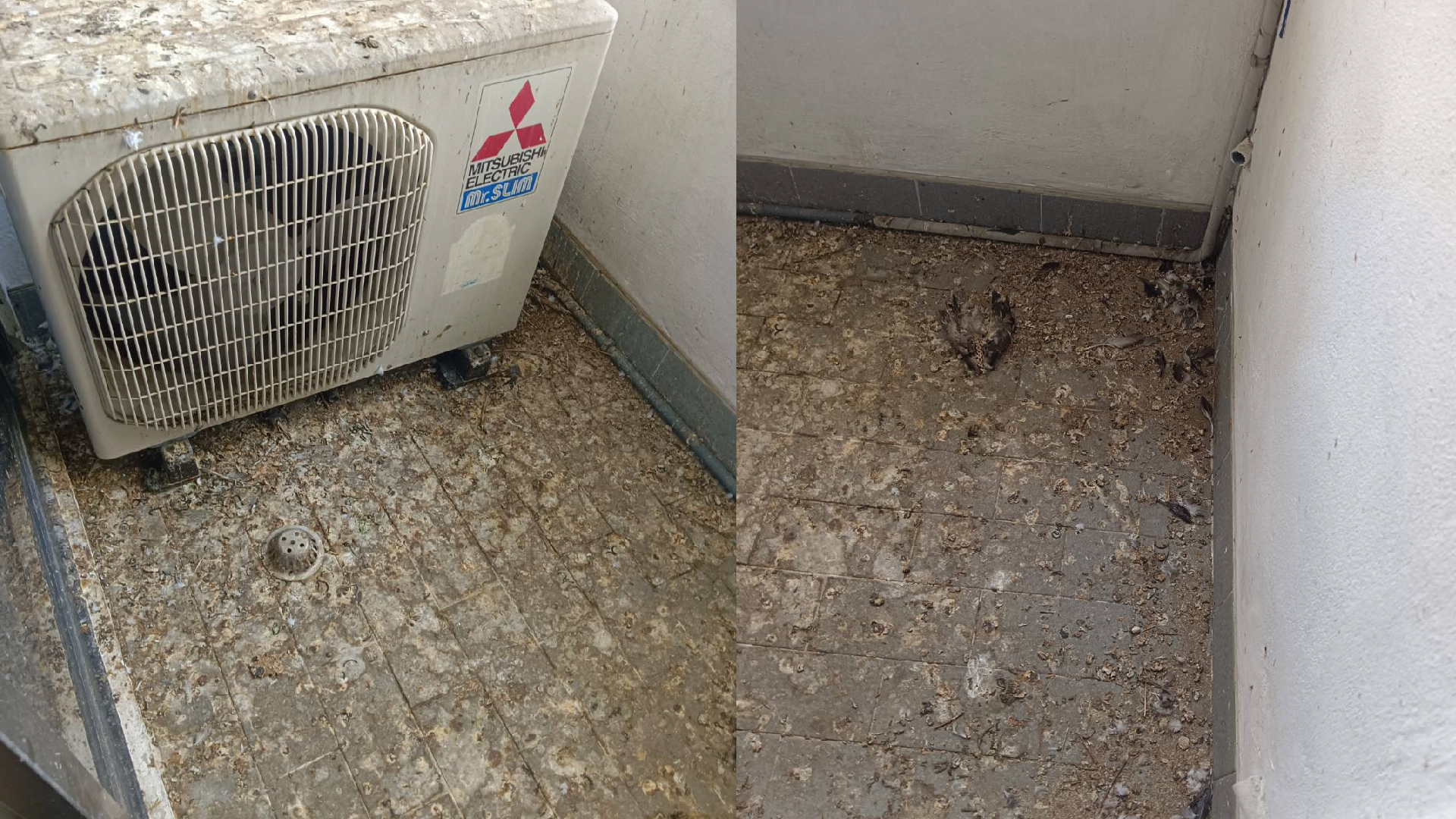 Big clean คอนโด ทำความสะอาดคอนโด รับทำความสะอาดคอนโดก่อนเข้าอยู่ ทำความสะอาดคอนโดเก่า Big clean คอนโด ทำความสะอาดคอนโด รับทำความสะอาดคอนโดก่อนเข้าอยู่ ทำความสะอาดคอนโดเก่า