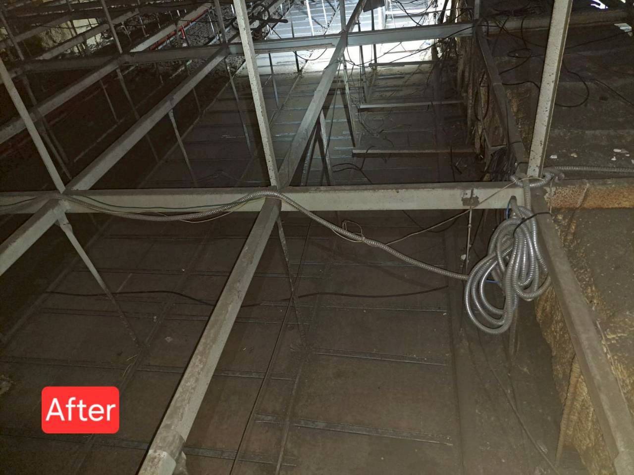 การกำจัดมูลสัตว์และสิ่งปฏิกูลภายในอาคารอย่างถูกสุขลักษณะ